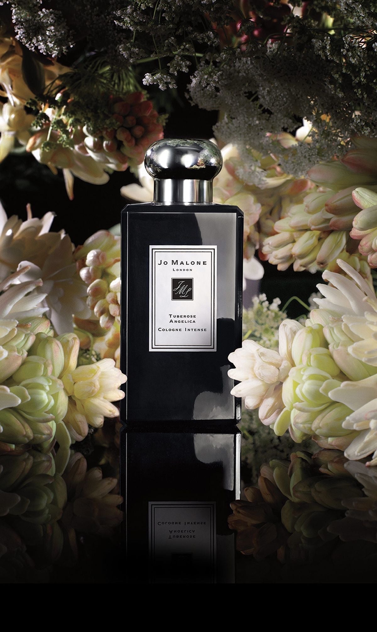 Jo Malone London Tuberose Angelica Cologne Intense