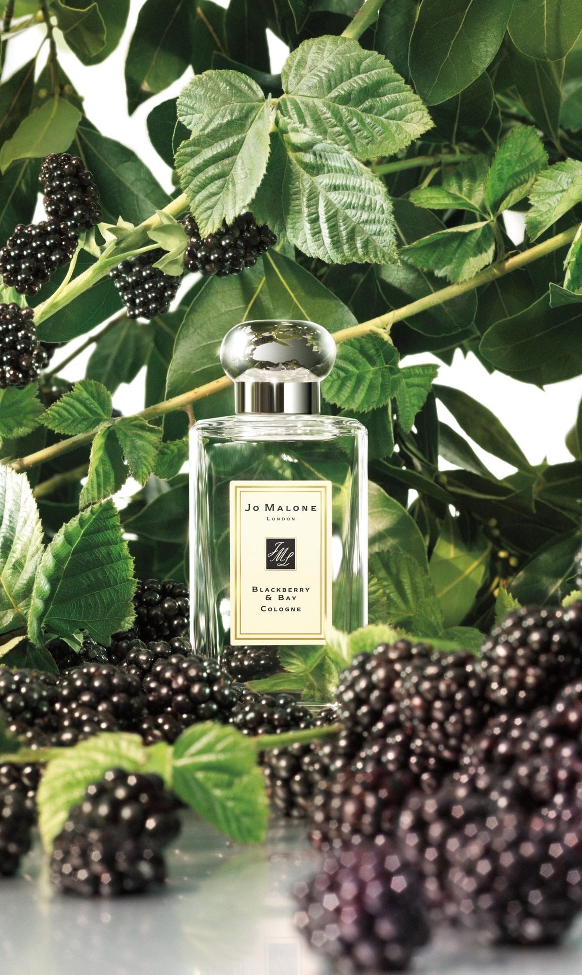 Jo Malone London Blackberry & Bay Cologne