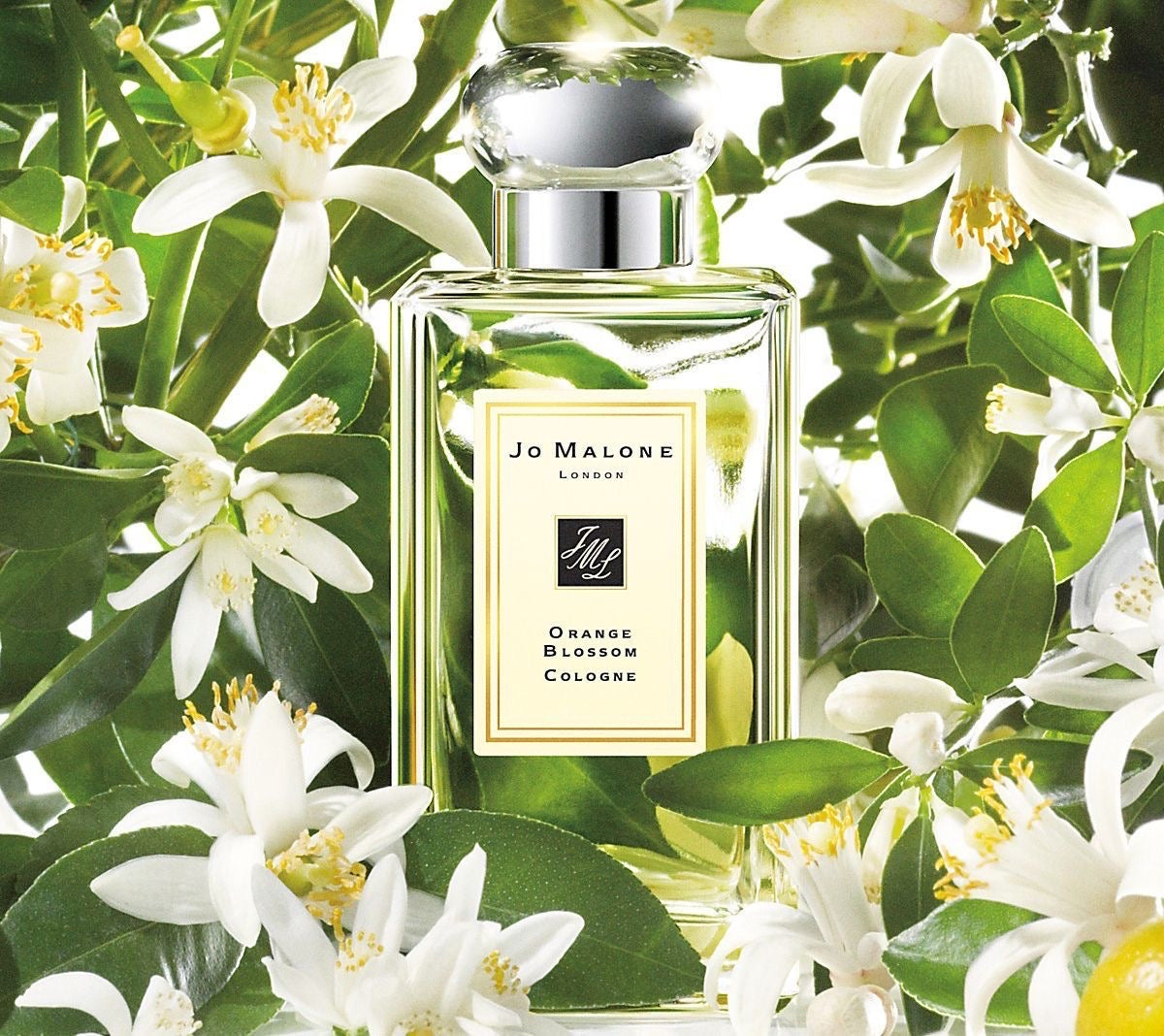 Jo Malone London Orange Blossom Cologne